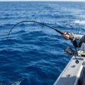 Zenaq Tobizo (TC80-8G) Offshore Casting Rod